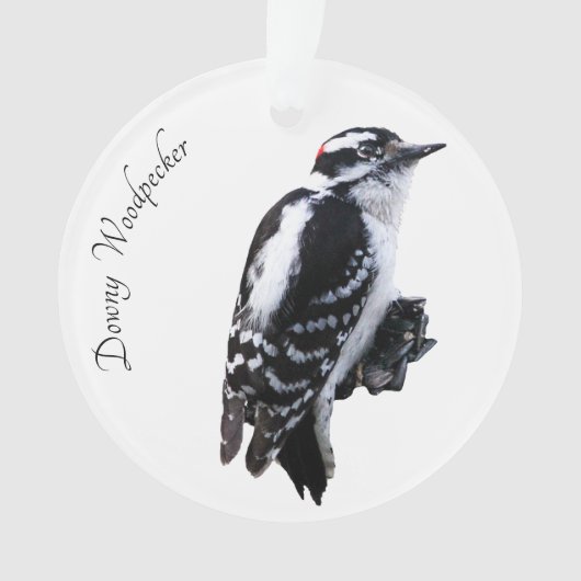 Downy Woodpecker Ornament (voorkant)