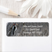 Downy Woodpecker Return Address Label (Insitu)