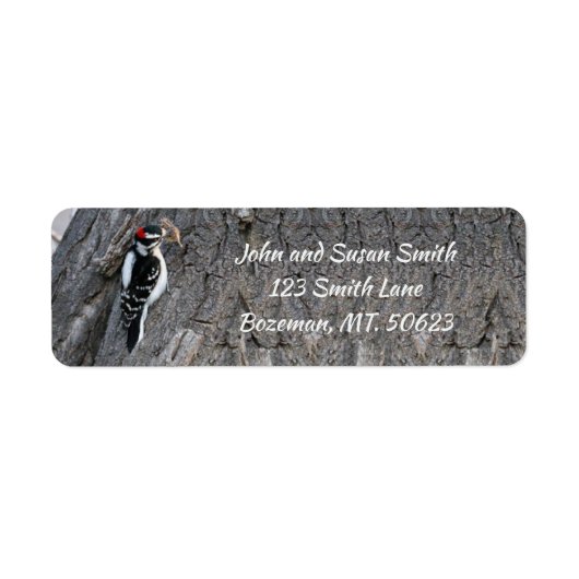 Downy Woodpecker Return Address Label (Voorkant)
