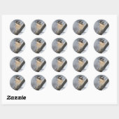 Downy Woodpecker Stickers (Vel)