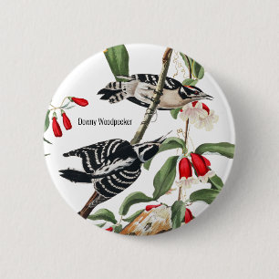 Downy Woodpecker van Audubon, Birdwatcher Birder Ronde Button 5,7 Cm
