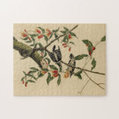 Downy Woodpecker - van de Amerikaanse vogels van A Legpuzzel (Horizontaal)