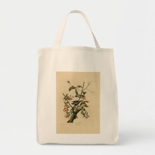 Downy Woodpecker - van de Amerikaanse vogels van A Tote Bag