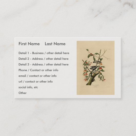 Downy Woodpecker - van de Amerikaanse vogels van A Visitekaartje (Voorkant)