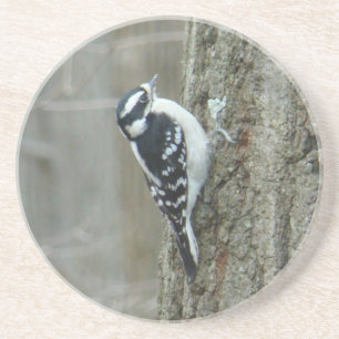 Downy Woodpecker Vrouw Onderzetter