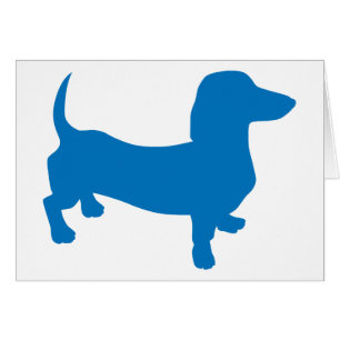 Doxie Bleue, Dachshund