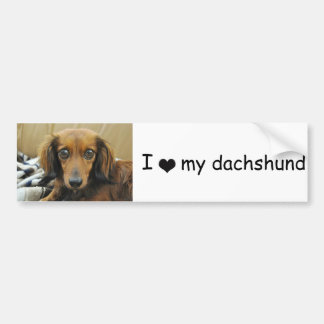 Doxie Bumpersticker