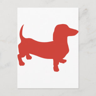 Doxie - Dacshund Briefkaart