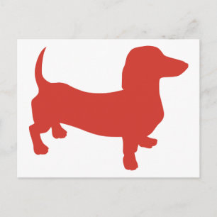 Doxie - Dacshund Briefkaart