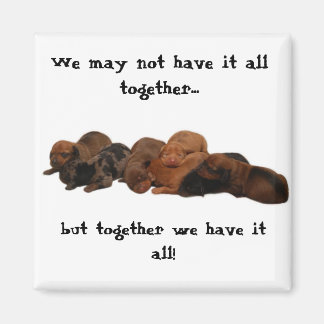 Doxie pups, we hebben het niet allemaal samen... magneet