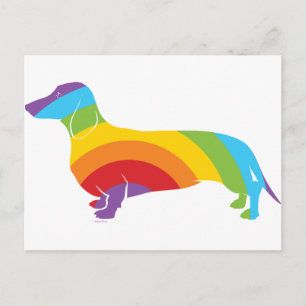 Doxie regenboogverbinding briefkaart