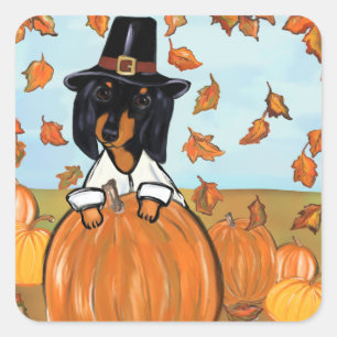Doxie Thanksgiving Vierkante Sticker