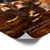 Doxies - Dappé Dans L'Art Sunshine Poster / Imprim (Coin)