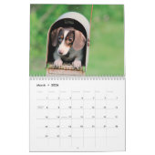 Doxies Kalender (Mar 2026)