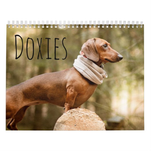 Doxies Kalender (Hoes)