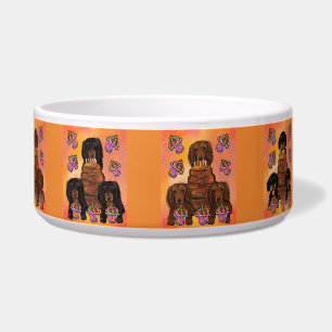 DOXIES VOERBAKJE