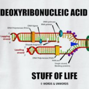 doxyribonucleïnezuur (DNA) en levensgevaarlijk T-shirt