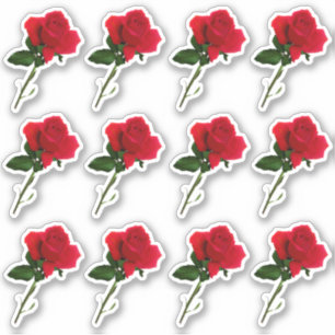 Dozijn Lange Steel Rode Roos Vel Sticker
