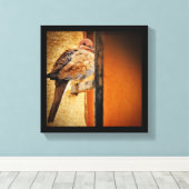 Dozing Dove Canvas Afdruk (Insitu (Houten vloer))