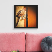 Dozing Dove Canvas Afdruk (Insitu (Woonkamer))