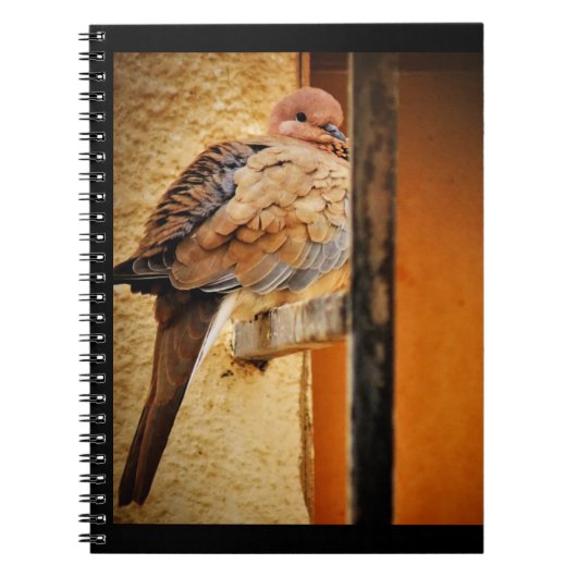Dozing Dove Notitieboek (Voorkant)