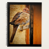 Dozing Dove Planner (Voorkant)