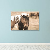 Dozing Onaqui Wilde Paarden Canvas Afdruk (Insitu (Houten vloer))