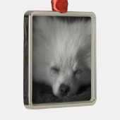 Dozing Pomeranian Metalen Ornament (Rechts)