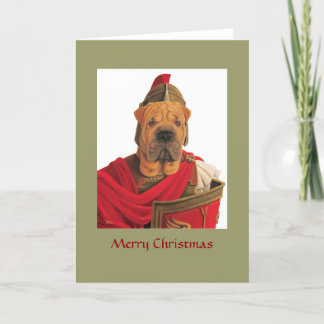 DR068 Shar Pei, Vrolijke Kerstmis Feestdagen Kaart