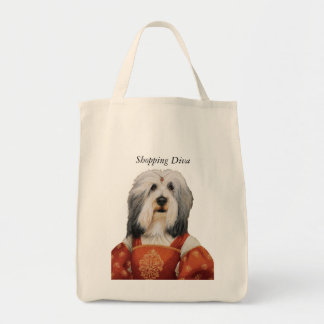 DR.131 met baard, collie shopping diva tas