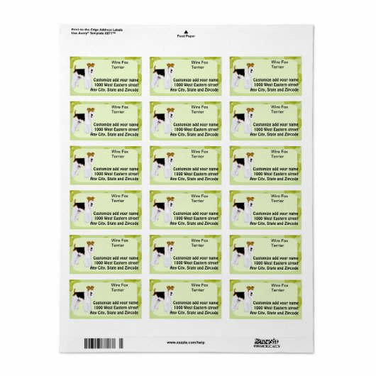 Draad Fox Terrier - groen blad ontwerp Etiket (Full Sheet)