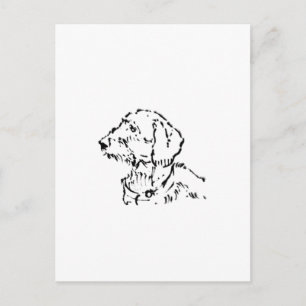 Draadharige Dachshund-hondeneigenaar Briefkaart