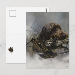 Draadharige Pointing Griffon, Houtsnip jagen Briefkaart