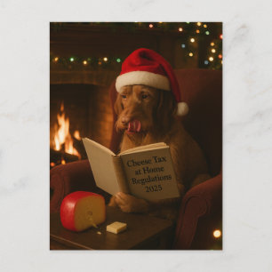 Draadharige Vizsla 'Kaasbelasting' kerstkaart Briefkaart