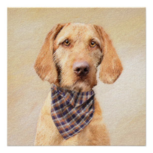 Draadharige Vizsla Schilderij - Grappige Originele Perfect Poster