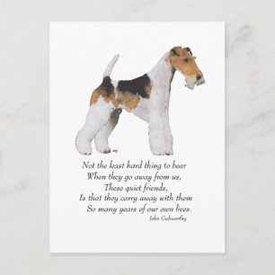 Draadvos Terrier Regenboogbrug Briefkaart