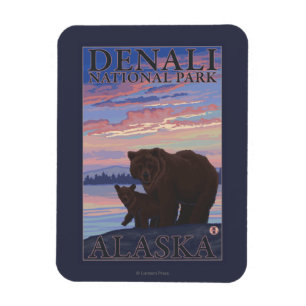 Draag en werp - Denali Nationaal Park, Alaska Magneet