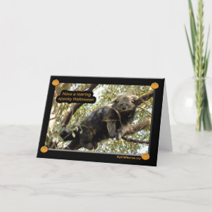 Draag katten & de Kaart van Binturong Halloween