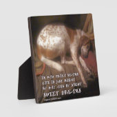 Draagafdrukken in zoete dromen fotoplaat (Voorkant)