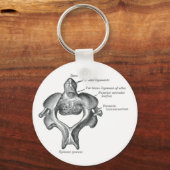 Draagbare backbone sleutelhanger (Voorkant)