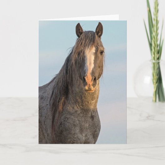 "Draagkracht van de Natuur" Kaart (Voorkant)