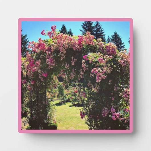 Draagland Roos Garden, OF Fotoplaat (Voorkant)