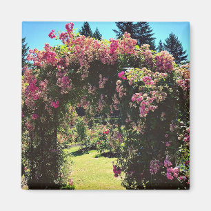 Draagland Roos Garden, OF Magneet