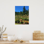 Draagland Roos Garden, OF Poster (Keuken)