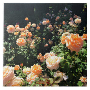 Draagland Roos Garden, OF Tegeltje