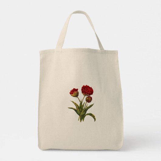 Draagtas (Achterkant)