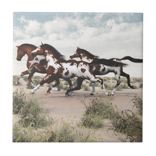 Draai als de wind - galopende verfpaarden tegeltje (Voorkant)