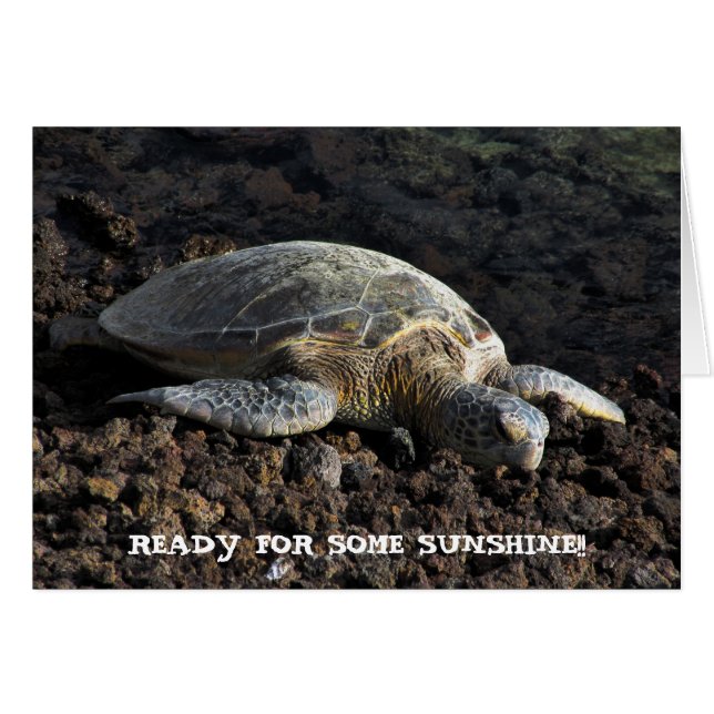 Draai de Lava aan (Voorkant Horizontaal)