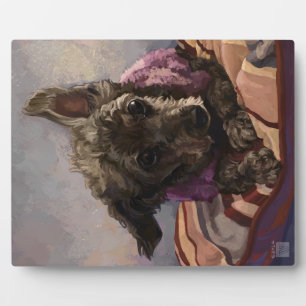 Draai de poel fotoplaat