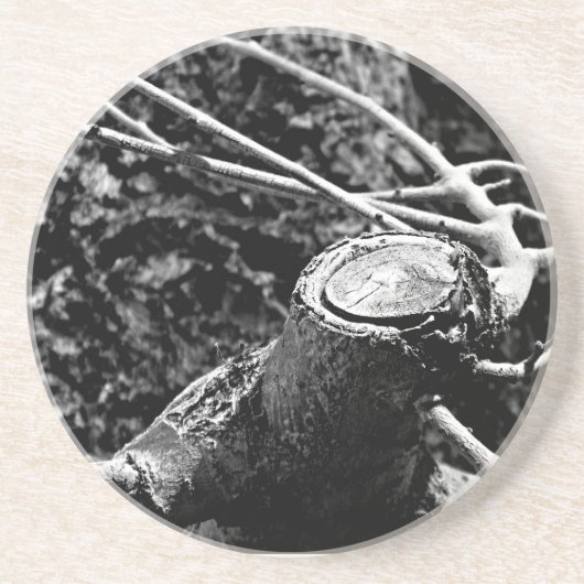 Draai me om de boom zandsteen onderzetter (Voorkant)